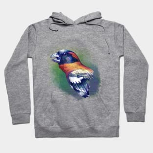 Black Headed Grosbeak Hoodie